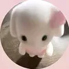 anna_tvyy