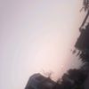 oscar_g40
