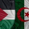 imanehamad6