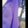 teguhkan31