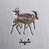 shaad734