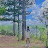 anhhao2198