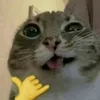 babloezcobar