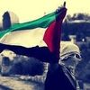 yaseenaqel343