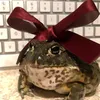 nome1_nome1