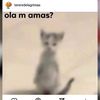 dy2sedlupvhq