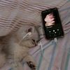 ravie.r.sukhu18