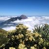 lautanawanbromo