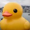 jeffduckson