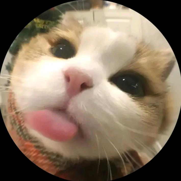 _aataprlya