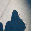 dnbfjf_23