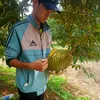 fbtrananhtuan26