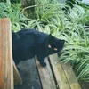 trphongg_0709