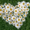 katharina3412
