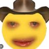 mrcowboy6956