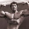 arnold877swa