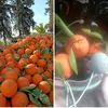 hassane1_hassane