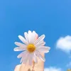 dyztlejth1h6