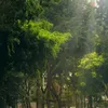 taolalongbien_2