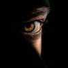 nabilawne2