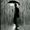 angoh_borhan