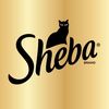 shebabrand