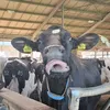 bartpeeters8850