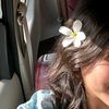 hanin3394