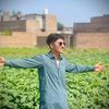 faheemkhan238