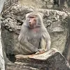 hot_janusz_69