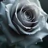 itssofia92