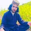 alamsid313