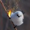 smolburb