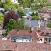 lausanne_flower