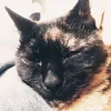 smilenumpt