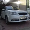 temurazamov777