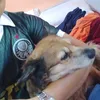 marceloduarte4727