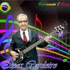 basscoverbrasil
