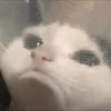 vtdvn0ab