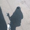 .espickla
