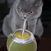 gato_matero
