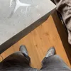 justboredicel024