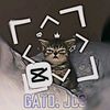 gato.jcs