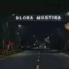 blentuk0