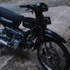 dellan553