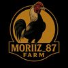 Moriiz.87 Farm