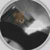 nannoandmochii