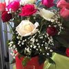 hassibaben28