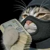 whos.al3xxz