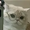 hieusaboy1